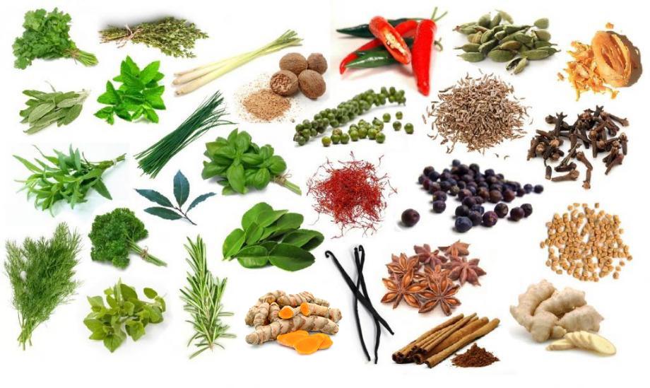 Find the Herbs and Spices! Quiz rosemary herb diagram 